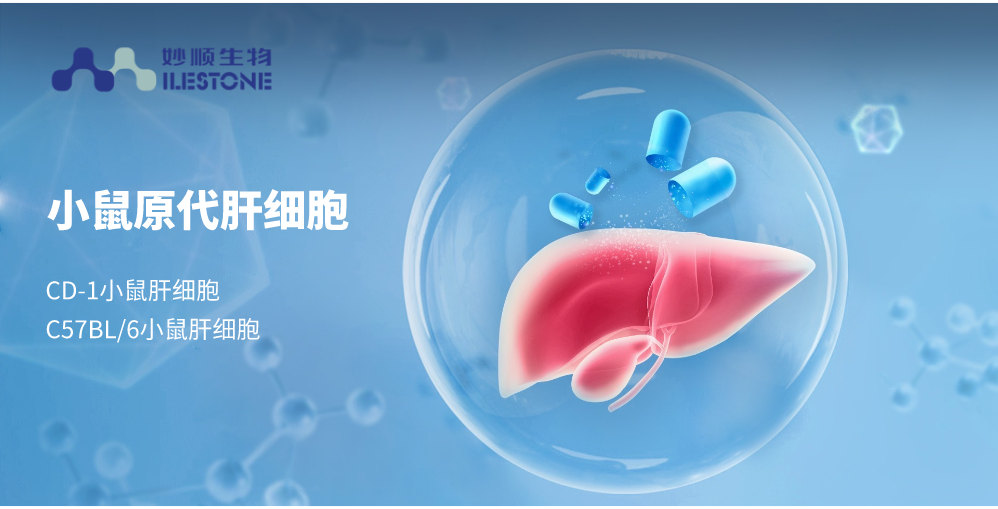 suncity太阳新城生物 | 优质啮齿类原代肝细胞产品