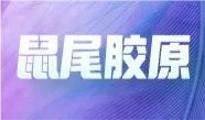 suncity太阳新城生物亮相中国毒理学会第九次全国青年科技大会并在现场分享报告！(图15)