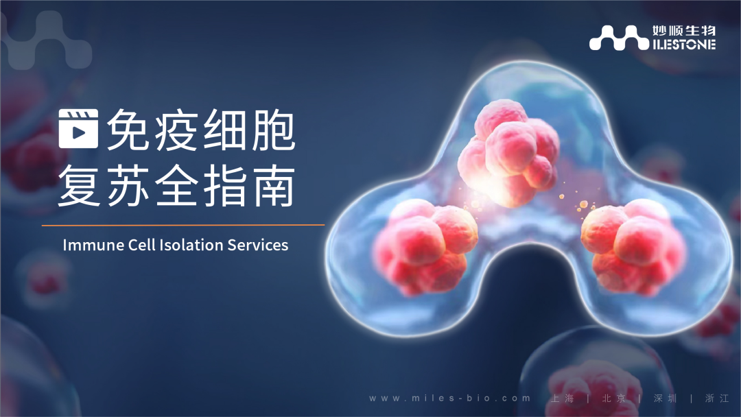 五月南京 | suncity太阳新城生物邀您共赴CGCS 2024国际细胞与基因治疗中国峰会暨展览会(图23)