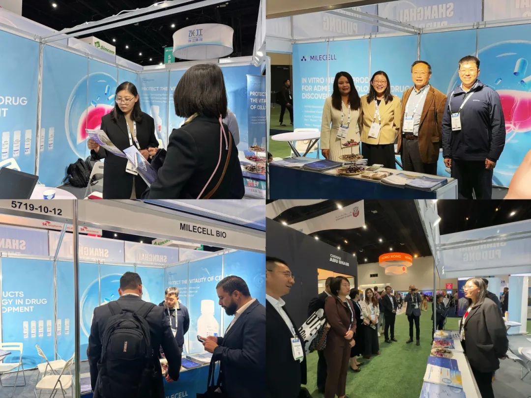 扬帆出海丨suncity太阳新城生物精彩亮相2024 BIO International Convention(图2)