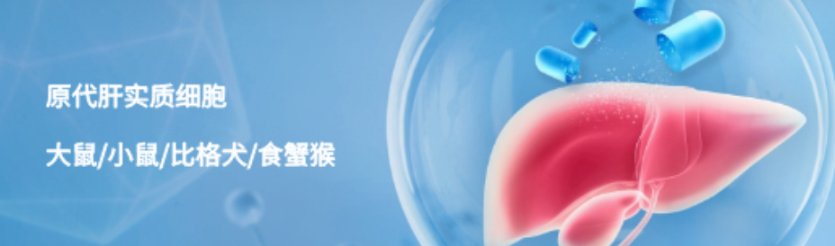 suncity太阳新城生物｜中美关税战下，生物医药国产替代的新力量(图6)